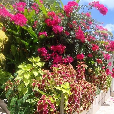Residence Madelia ปอร์-หลุยส์ ภายนอก รูปภาพ