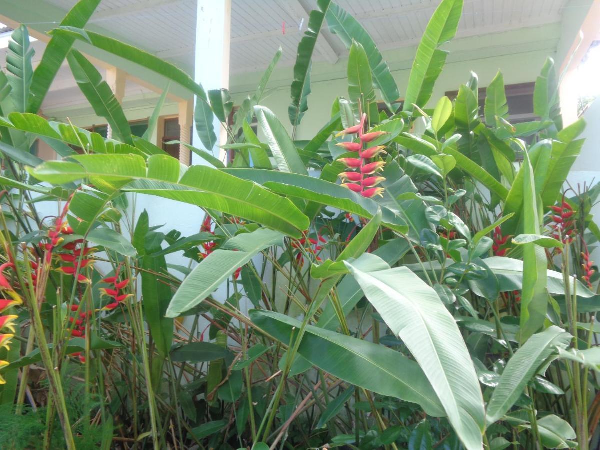 Residence Madelia ปอร์-หลุยส์ ภายนอก รูปภาพ