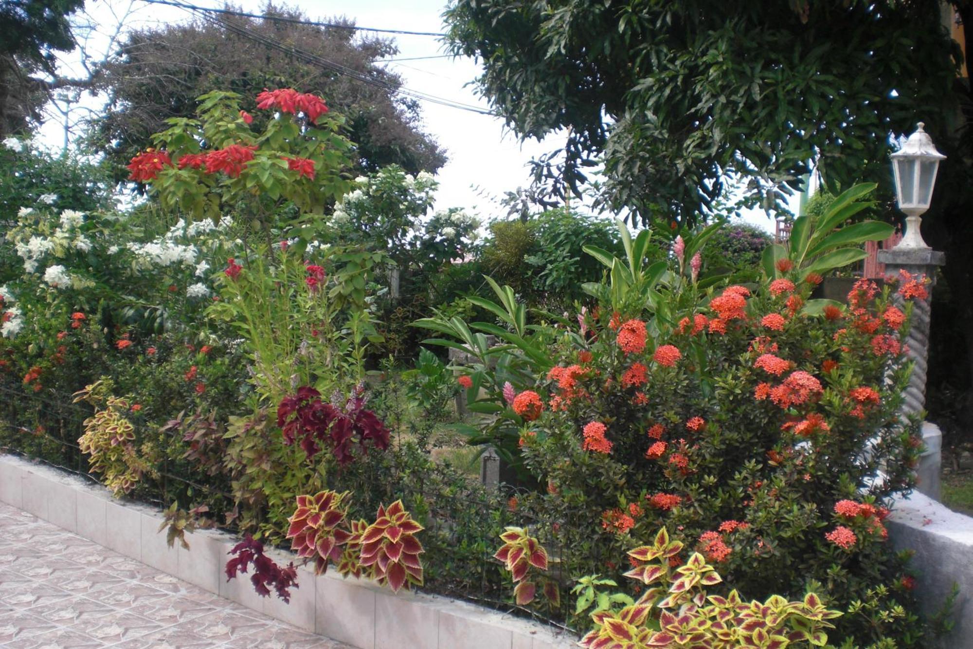 Residence Madelia ปอร์-หลุยส์ ภายนอก รูปภาพ