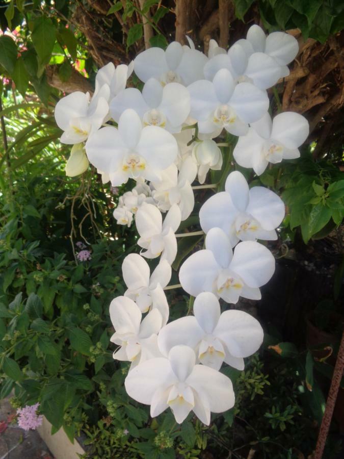 Residence Madelia ปอร์-หลุยส์ ภายนอก รูปภาพ