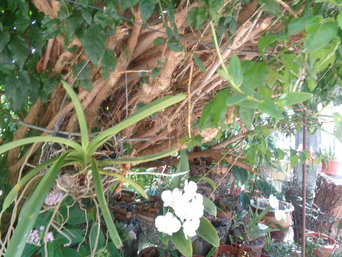 Residence Madelia ปอร์-หลุยส์ ภายนอก รูปภาพ